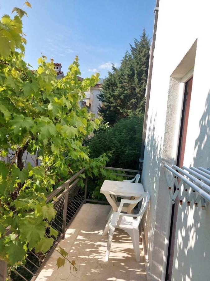 Villa Kralj Budva Dış mekan fotoğraf
